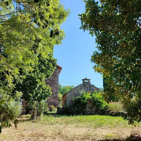 Le Clos Des Oeillades Montjaux